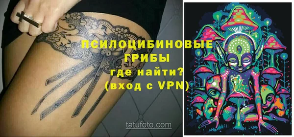 стафф Михайлов