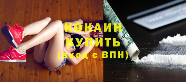 хмурый Сосновка