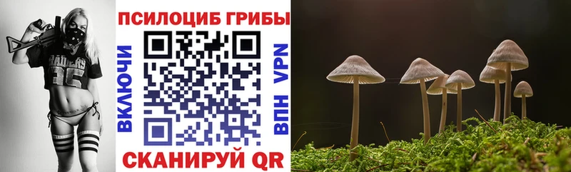 Псилоцибиновые грибы Psilocybine cubensis  это клад  блэк спрут сайт  Карабаново  где купить наркотик 